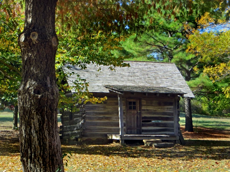 a small cabin that is nestled in the woods