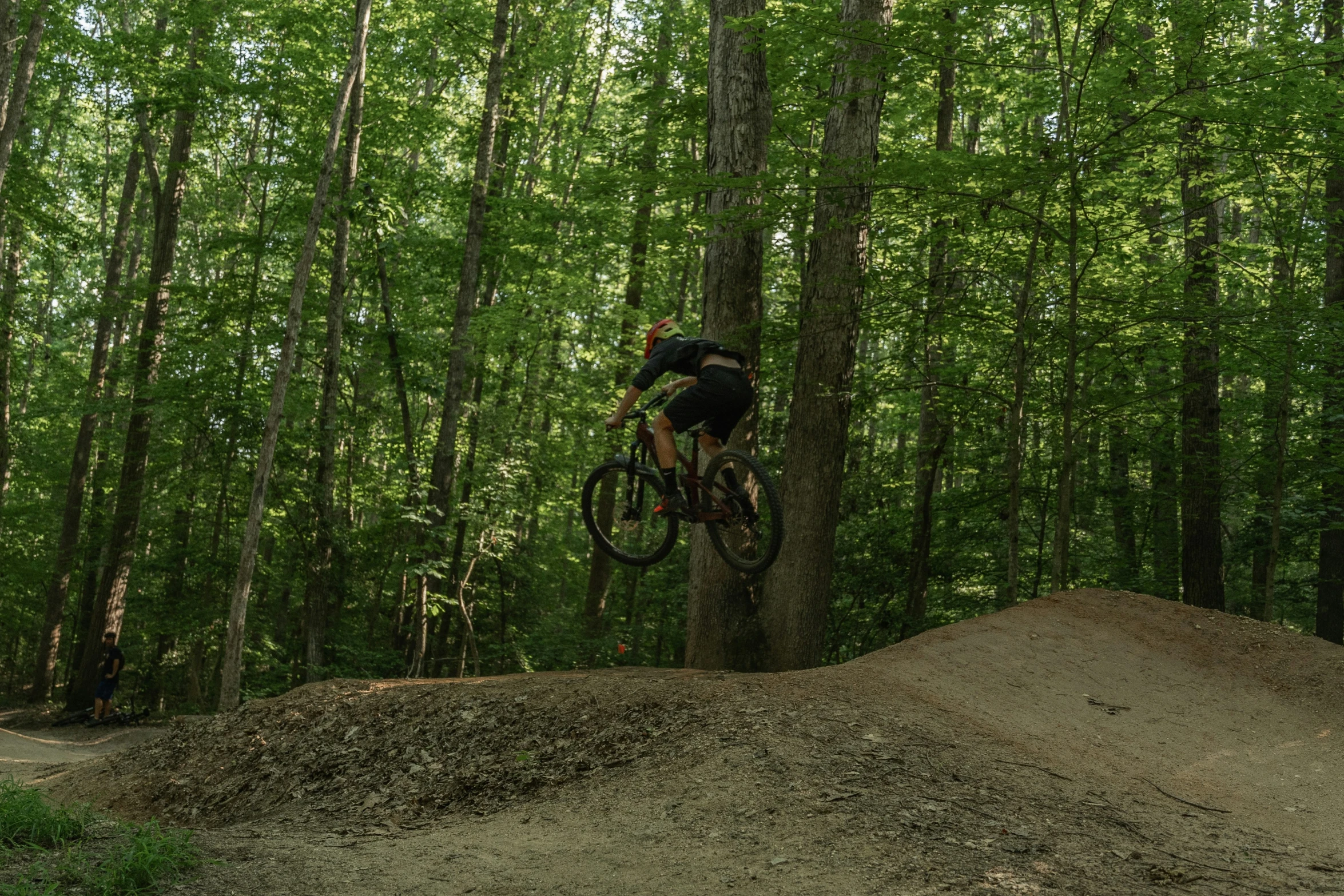 a man on a bike doing tricks in the woods