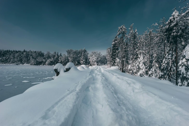 a view of the woods along a frozen lake