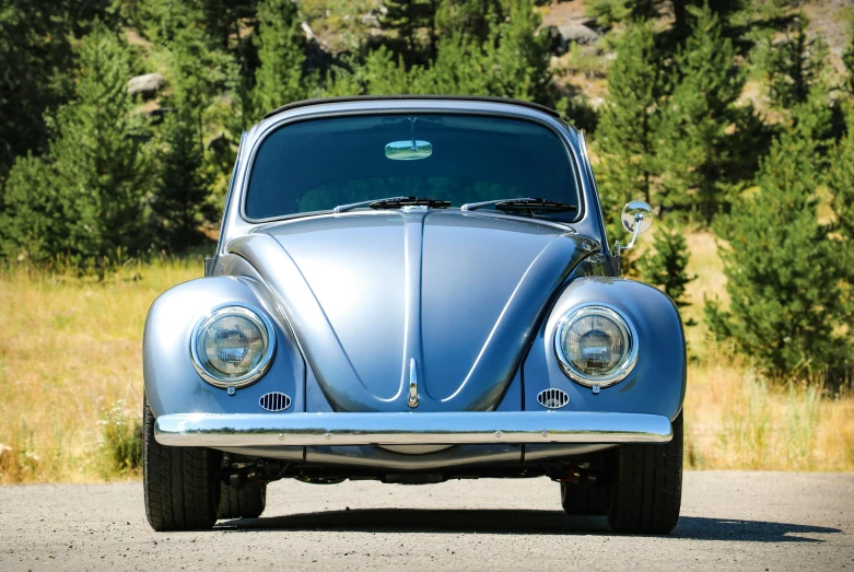 blue vw bug in the middle of the road