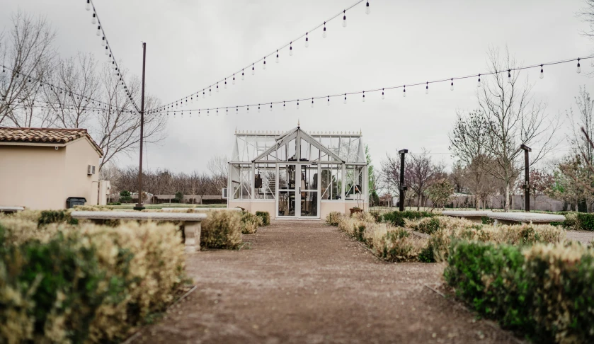 a building in the background with several bushes growing near it