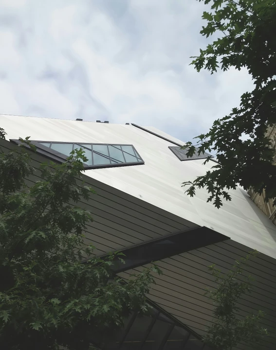 a roof with a clear glass window sits beneath the treetops