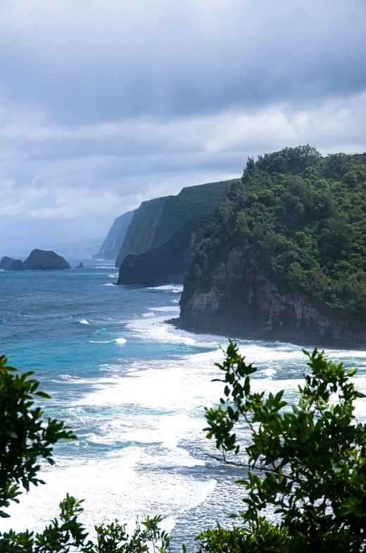 a lush green hillside on the ocean next to trees