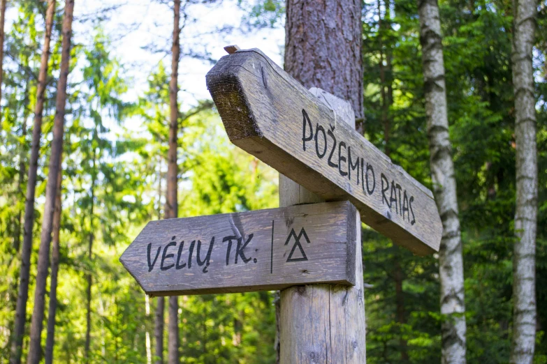 a wooden sign sitting on top of a tree