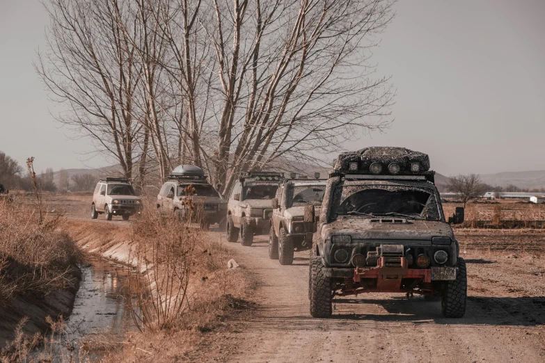 a herd of animals on a dirt road