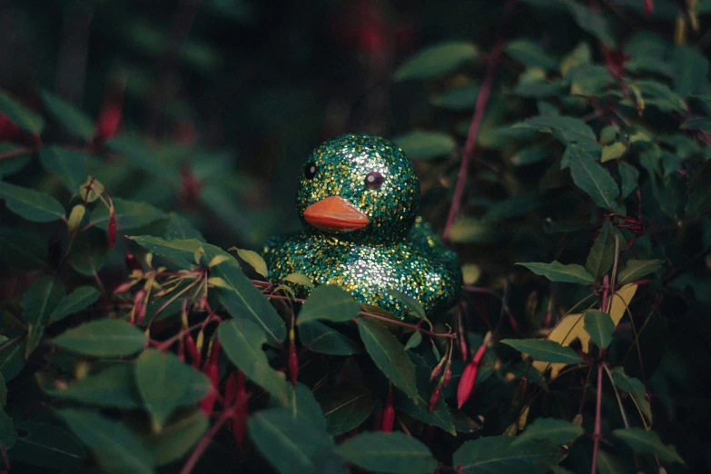 a green and yellow rubber duck in leaves