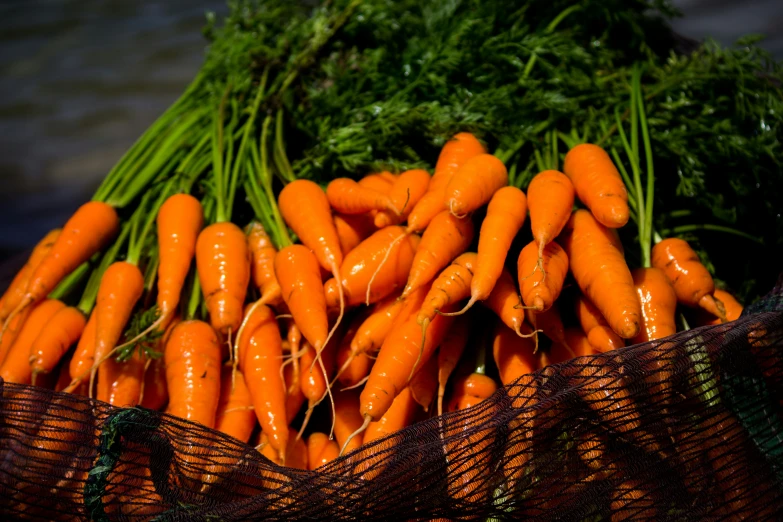 carrots and carrots are sitting together in a basket