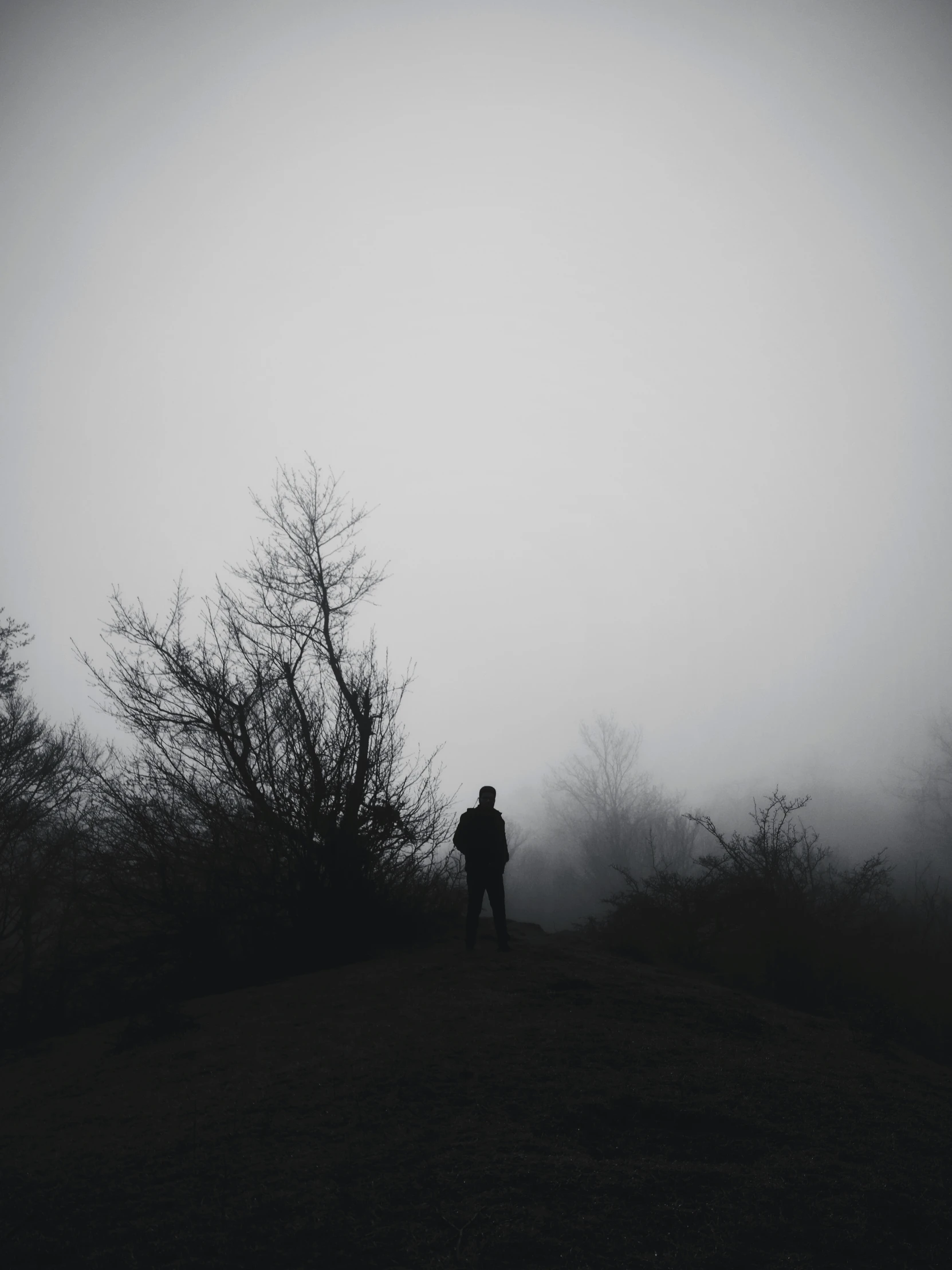 a man is standing on a hill in the fog