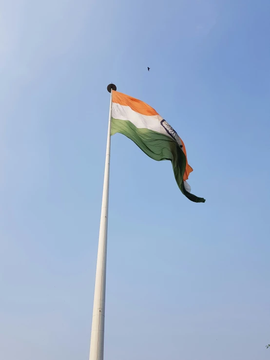 a flag pole with a bird flying over it