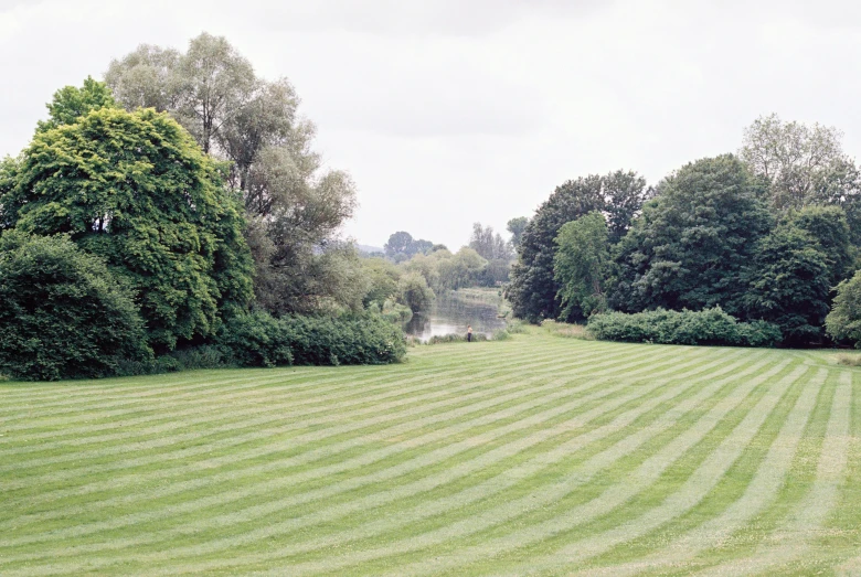 large grass field next to some trees on a cloudy day