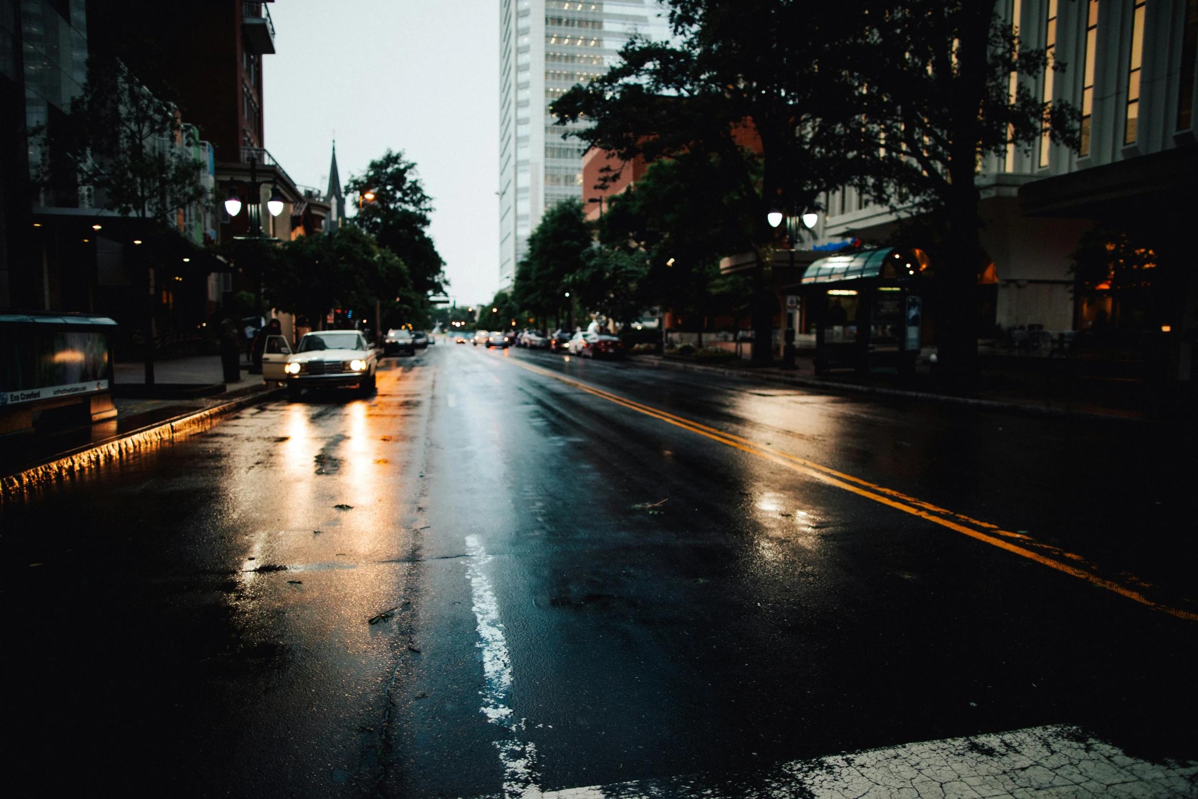 rainy street lights with trees and skyscrs on either side