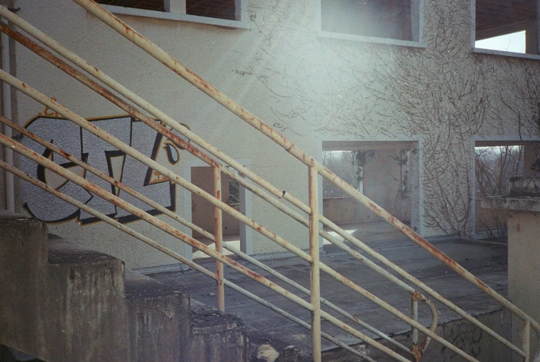 some white birds in the open area of a building