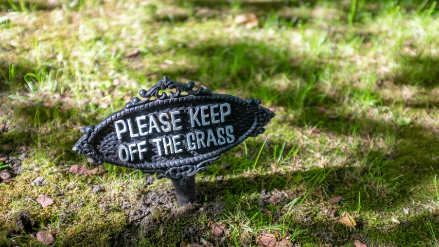 there is an old fashioned sign sitting in the grass