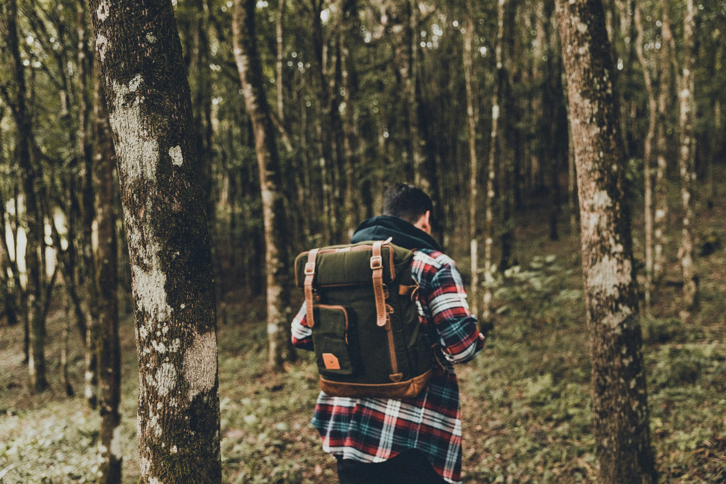 a man walking in the woods holding onto his back pack