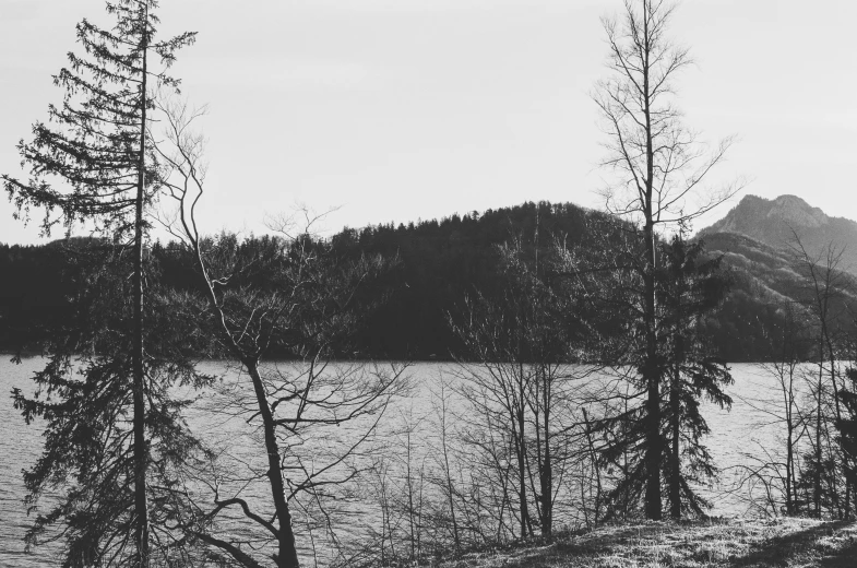 a lake surrounded by forest with mountains and trees