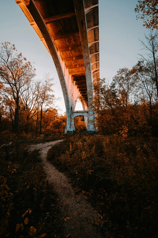 a bridge spanning over an area with lots of trees