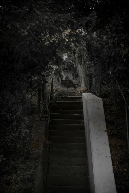 the light is on down the stairs in the dark
