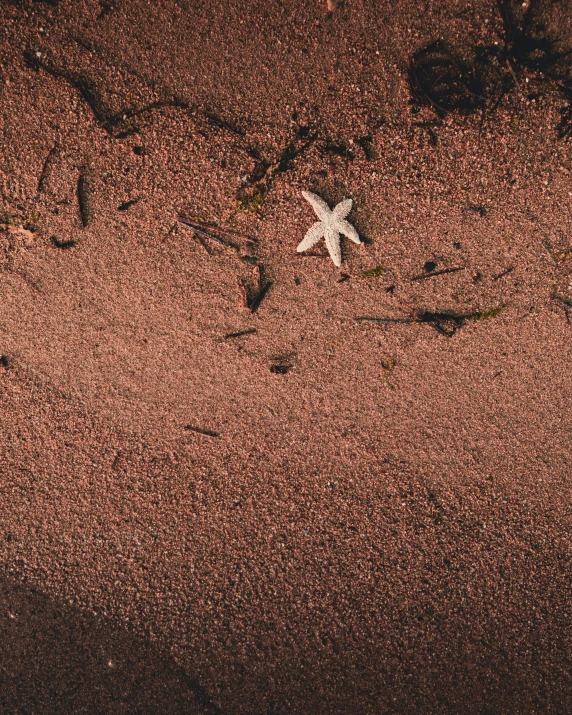 an image of the ground with some dirt and sand