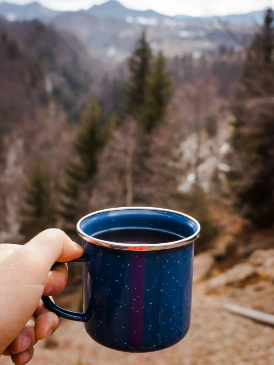 a hand holding a blue and purple mug on a mountain side