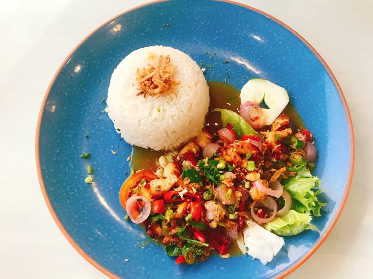 a plate that has rice, peppers, meat and salad on it