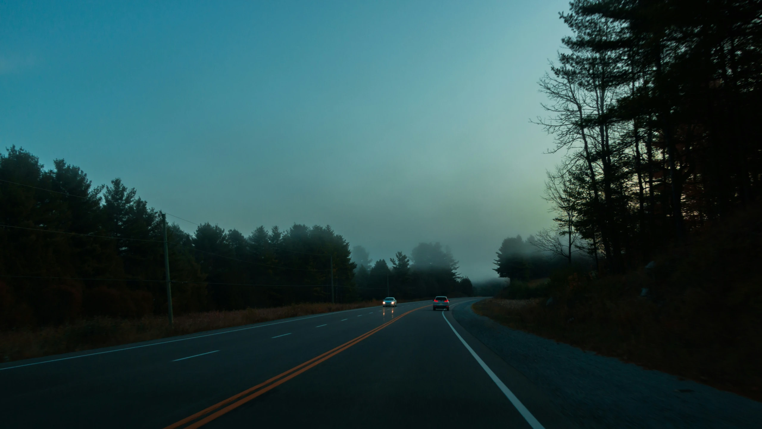 some cars driving down a long road through the woods