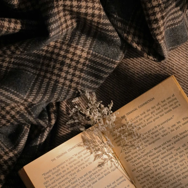 an open book with some small white flowers sitting on a blanket