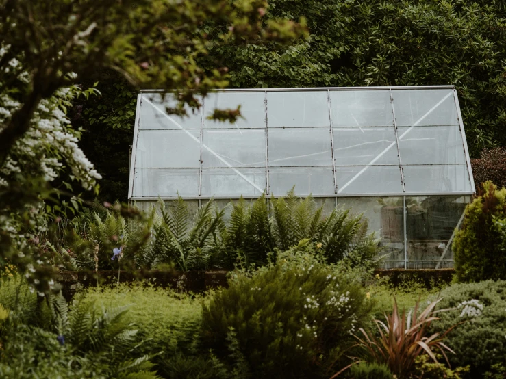 a glass house surrounded by trees and bushes