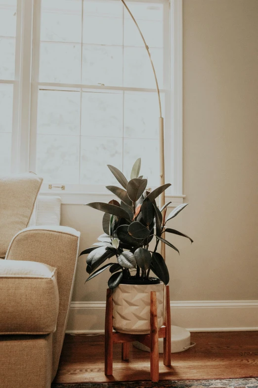 an empty room with sofa, and some plants