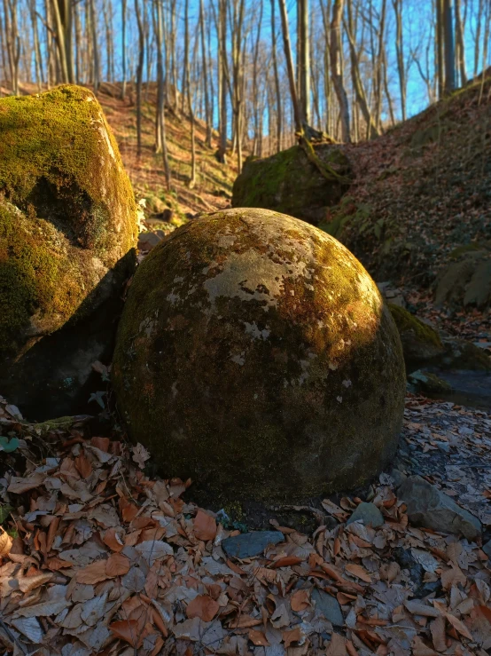 some moss covered rocks in the woods on some leaves