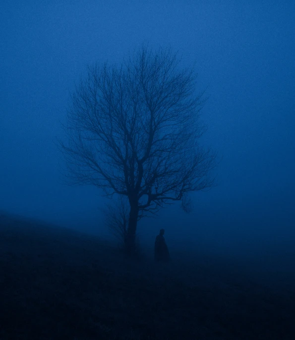 two people standing near a tree in the fog