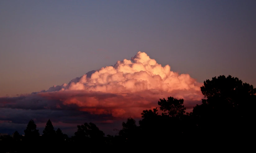 there is a huge cloud above the trees