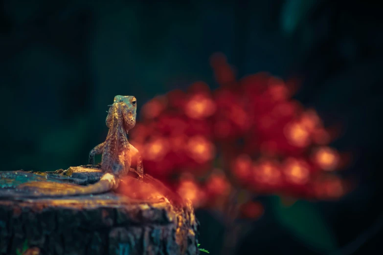 an image of a small lizard on the edge of a tree stump