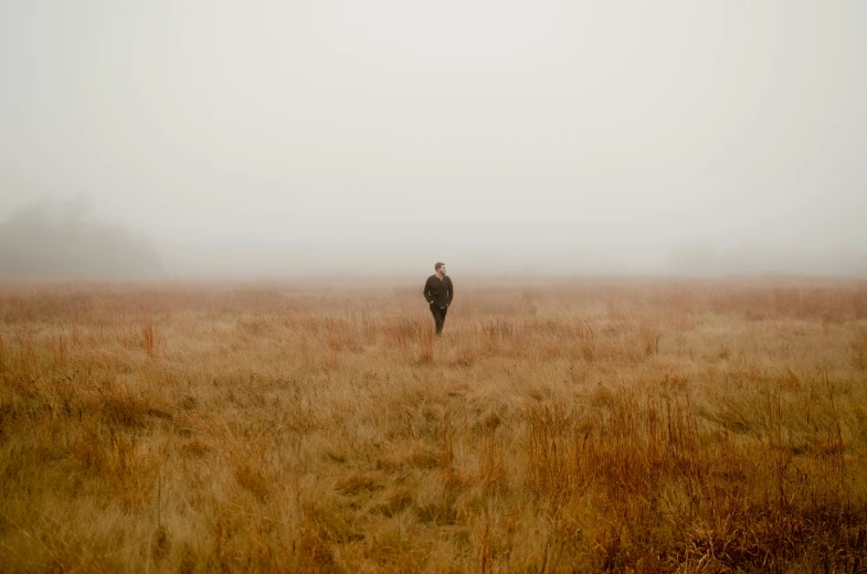 a lone deer standing in the middle of a misty field