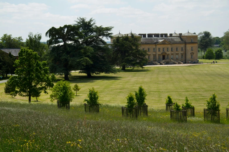 a large house that is in the distance with lots of trees on either side of it