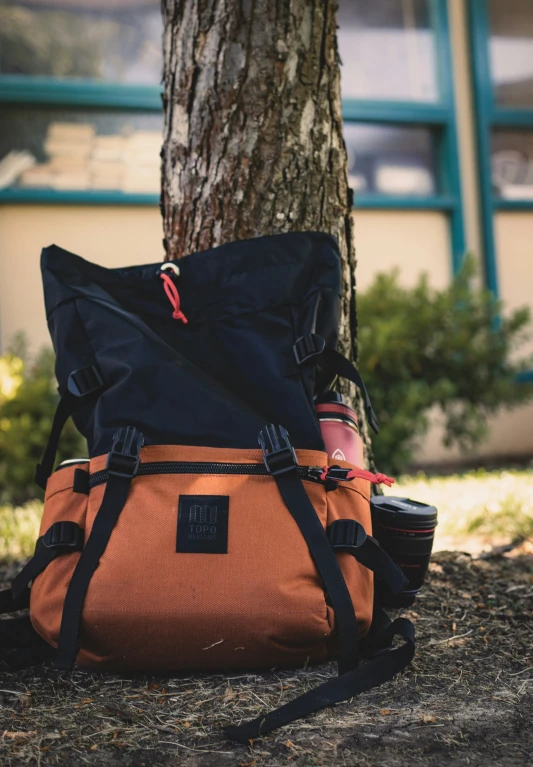 a bag sitting under the tree in front of a building