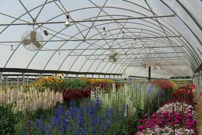 an assortment of flowers in flowerbeds inside a covered outdoor area