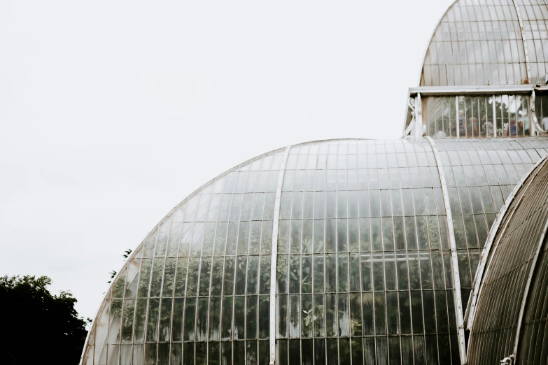 this po shows two glass domed building in the middle