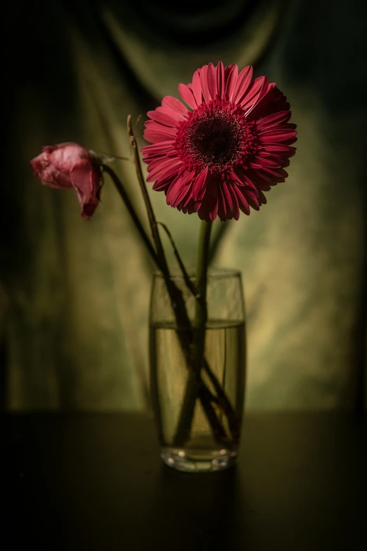 a vase with some pink flowers in it