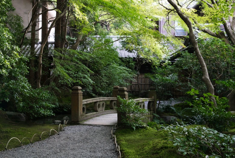 a path leads to a well lit garden in a city