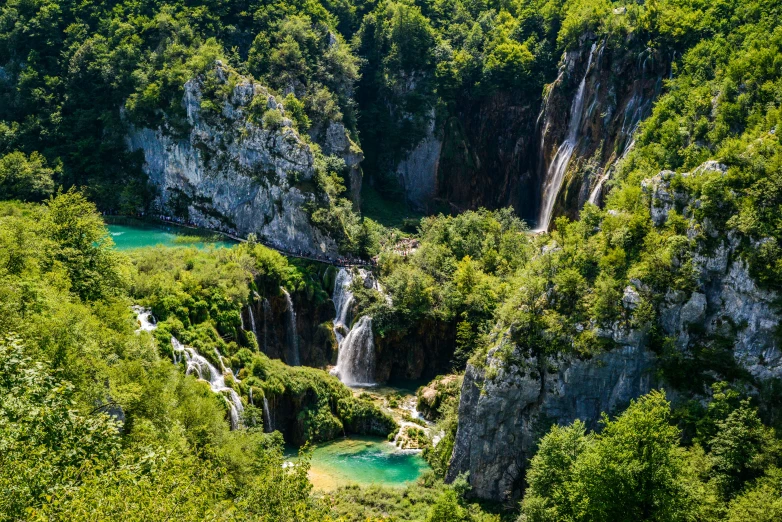 trees, water and hills are situated in the forest