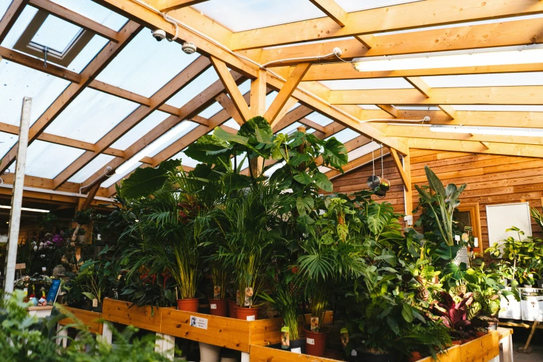 an indoor greenhouse with a wooden roof