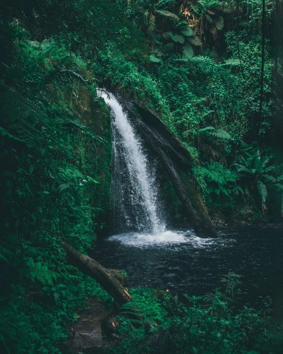 a waterfall in the jungle is being viewed from across the stream