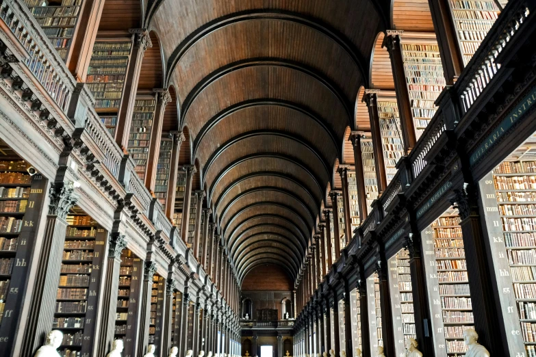 an elaborate hallway filled with lots of books