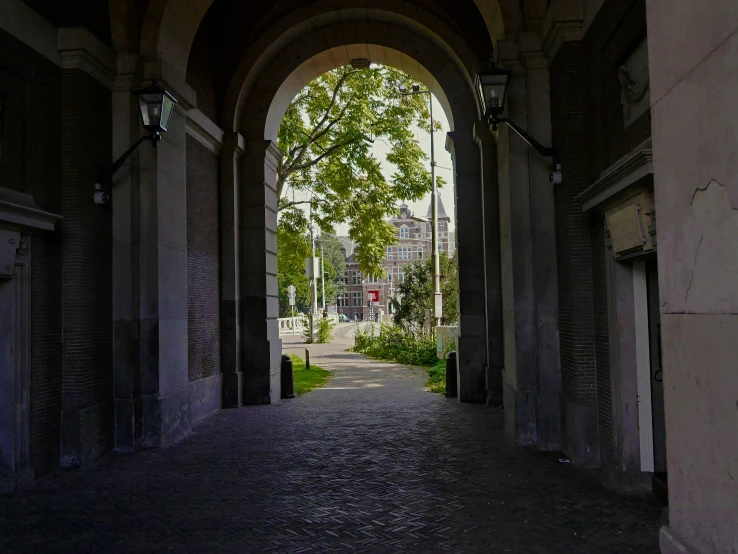 an arched walkway with flowers and trees on either side