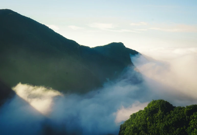 fog blankets the tops of the mountains while a bird flies in