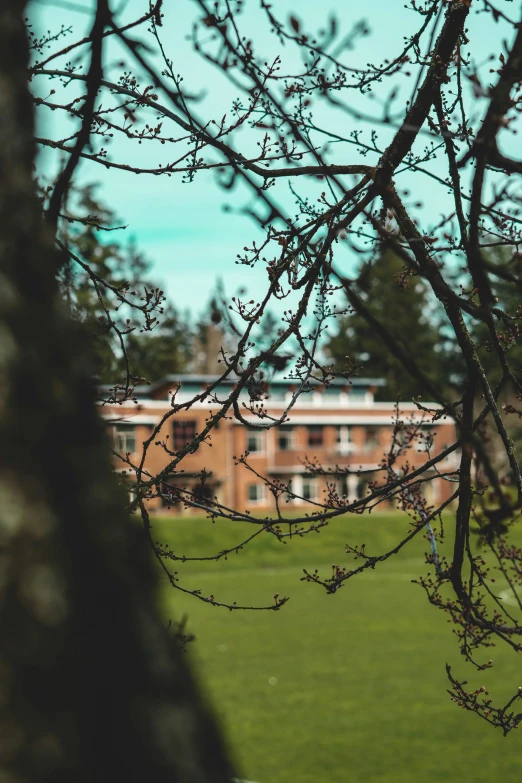 a grassy field with a building in the background