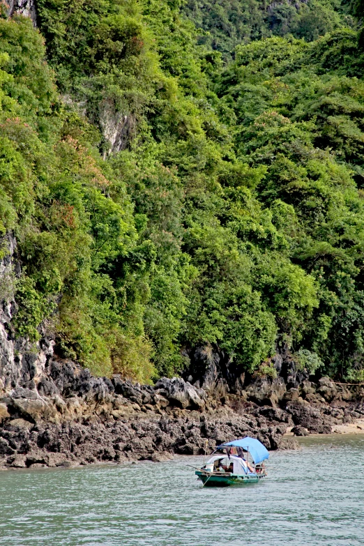 a boat with a blue canopy floating down the water