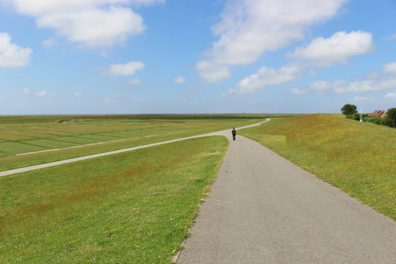 a person walking along a rural pathway