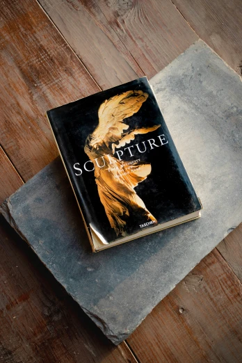 a book about nature lies on a stone surface