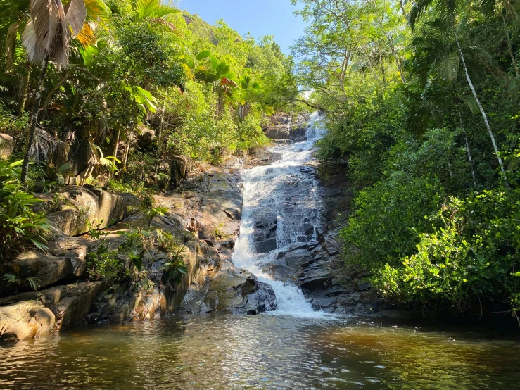 a stream that is surrounded by trees and plants